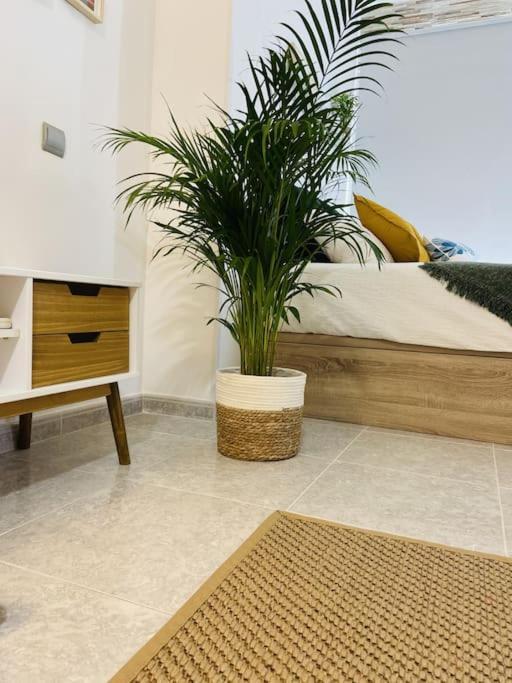 Alterhome Luminoso Estudio Con Piscina Y Maravillosas Vistas Τορρεμολίνος Εξωτερικό φωτογραφία